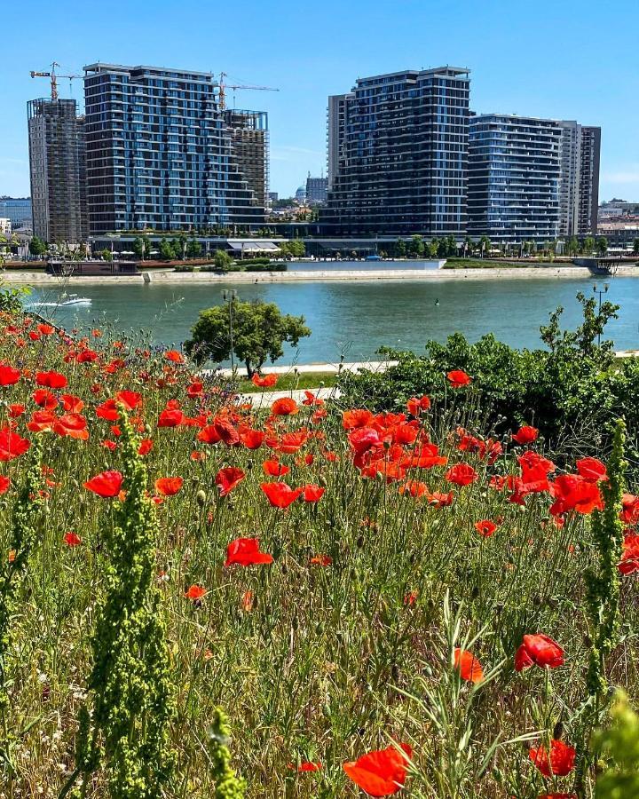 Dom Boutique Apartments - Park View Beograd Bagian luar foto